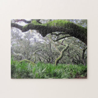 Puzzle of Cumberland Island Forest Pussel