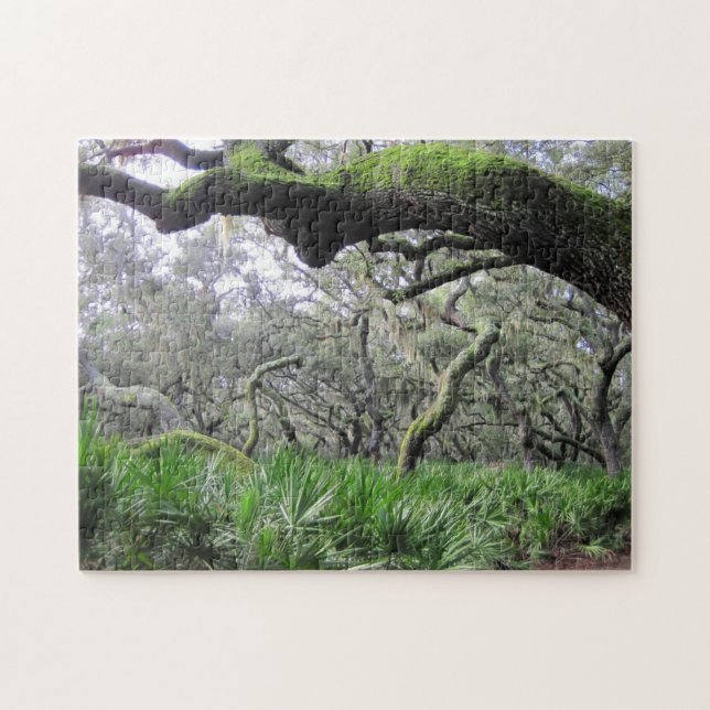 Puzzle of Cumberland Island Forest Pussel (Horisontell)