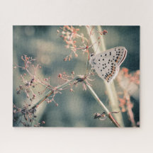 Puzzle Papillon 520 pcs