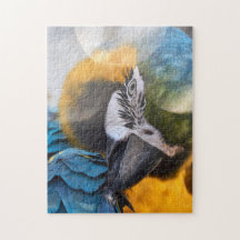 Puzzle Parrot Färg Bird