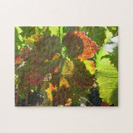 Puzzle - Red Grape Löv på vinet Pussel