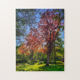 Puzzle “Rincón de luz – Einbeck en primavera” Pussel