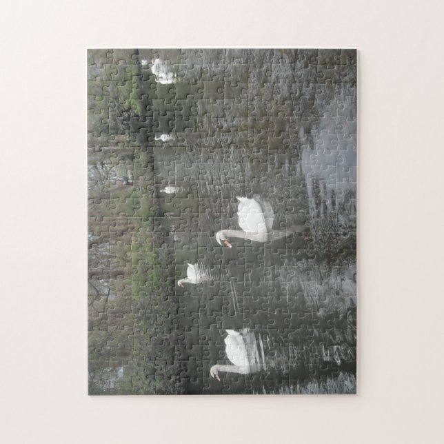 Puzzle Svanar Swimming Pussel (Vertikal)