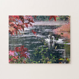 Puzzle - Svanar vid Jenney Pond Pussel