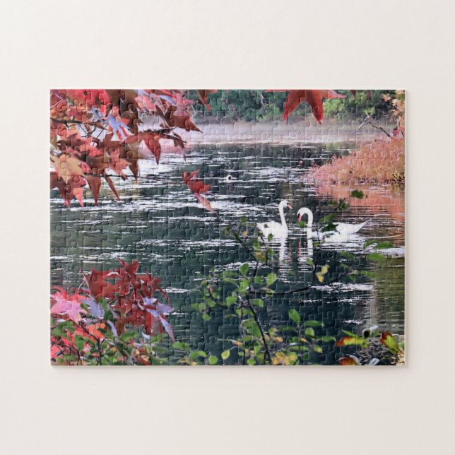 Puzzle - Svanar vid Jenney Pond Pussel (Horisontell)