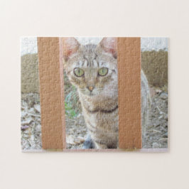 Puzzle - Tabby Kitten genom Railing Pussel