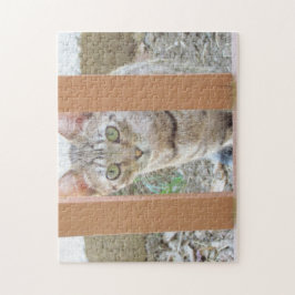 Puzzle - Tabby Kitten genom Railing Pussel