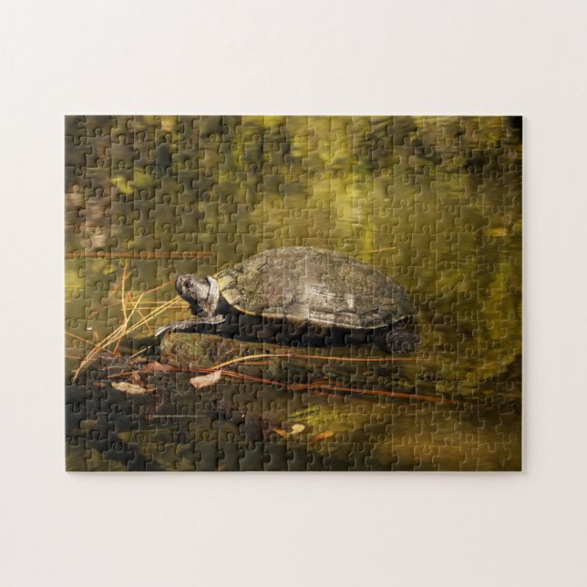 Puzzle - Turtle on Log in Pond Pussel (Horisontell)