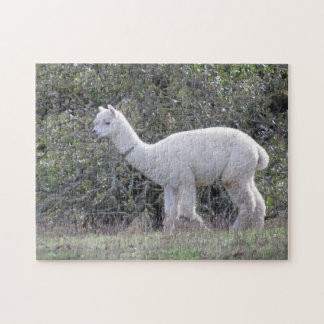 Puzzle - White Alpaca Pussel