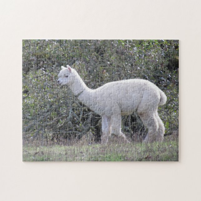 Puzzle - White Alpaca Pussel (Horisontell)