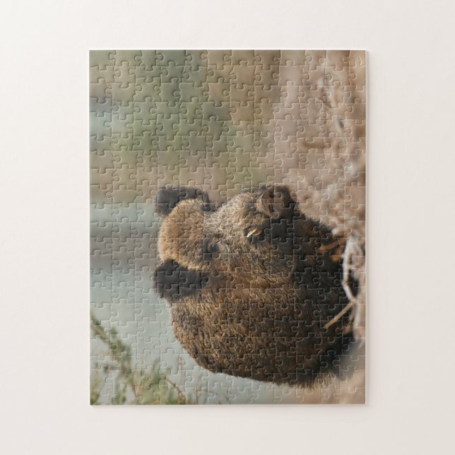 Puzzle Wildschwein Pussel (Vertikal)