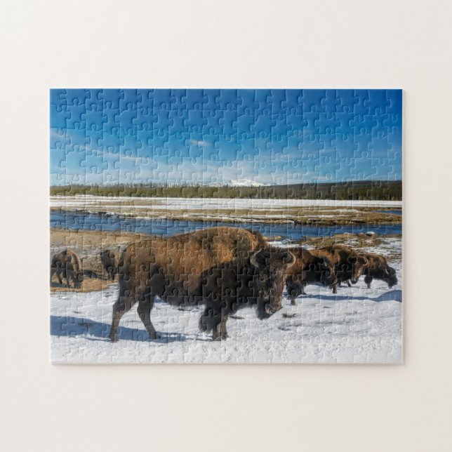 Puzzle Yellowstone Buffalo Pussel (Horisontell)