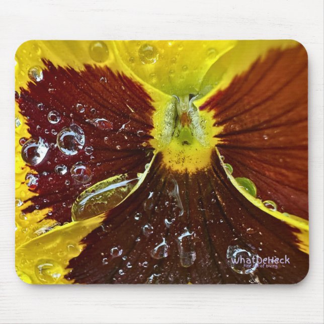 PW42 MUSMATTA (Framsidan)