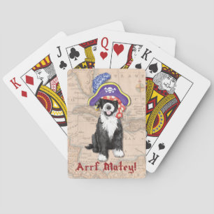 PWD Pirat Spel Kort