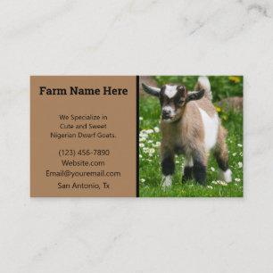 Pygmy dvärg Goat Breeder Visitkort