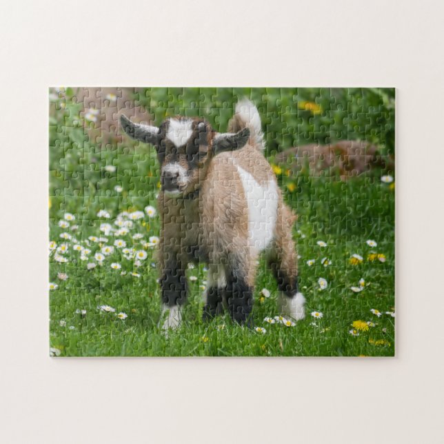 Pygmy Dwarf Goat Kid i Flowers Pussel (Horisontell)