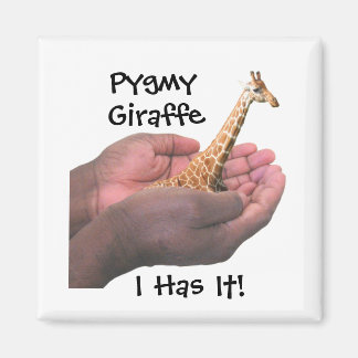 Pygmy Giraffe Magnet