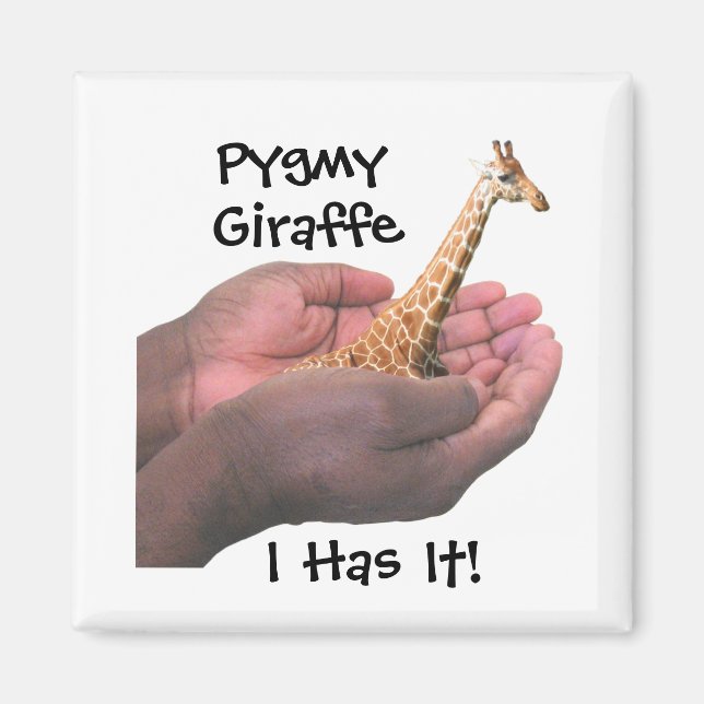 Pygmy Giraffe Magnet (Framsidan)