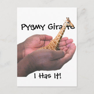 Pygmy Giraffe Vykort
