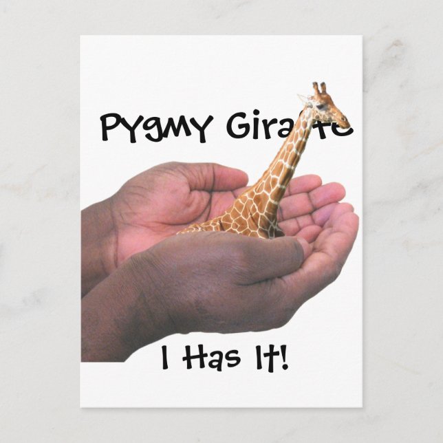 Pygmy Giraffe Vykort (Framsida)