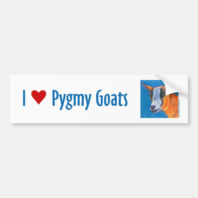 Pygmy Goat Bumper Sticker Bildekal (Framsidan)