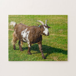 Pygmy Goat Jigszle puzzle Pussel