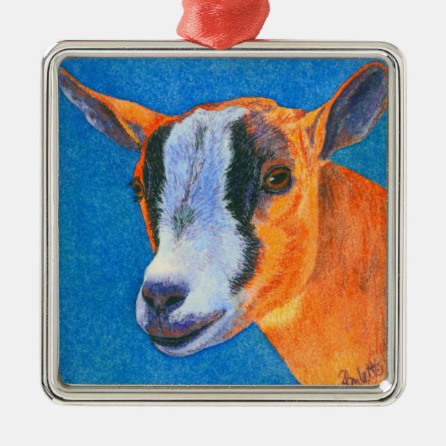 Pygmy Goat Ornament (Framsidan)
