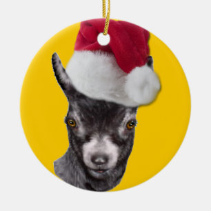 Pygmy Goat Santa Hat jul Ornament