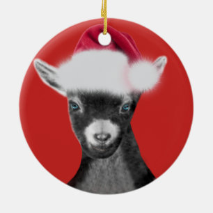 Pygmy Goat Santa Hat jul Ornament
