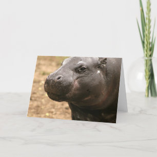 Pygmy Hippo-hälsningskort Kort