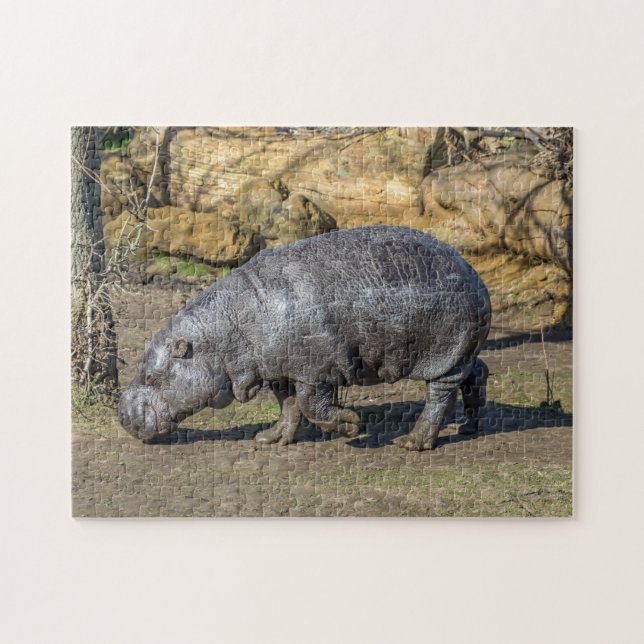Pygmy hippo puzze pussel (Horisontell)