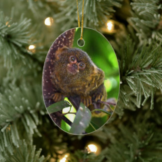 Pygmy Marmoset Magic Julgransprydnad Keramik