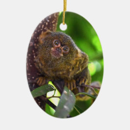 Pygmy Marmoset Magic Julgransprydnad Keramik
