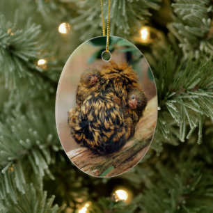 Pygmy Marmoset med Twillingar Julgransprydnad Keramik