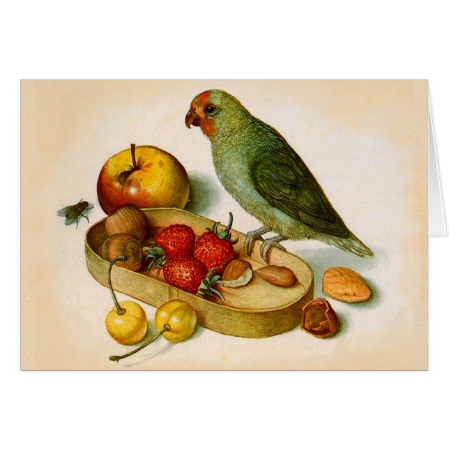 Pygmy Parrot med frukt och Nöt Hälsningskort (Framsidan Horizontal)