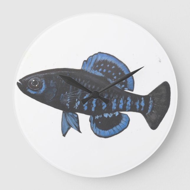 Pygmy Sunfish Elassoma gilberti Wall Clock Stor Klocka (Framsida)