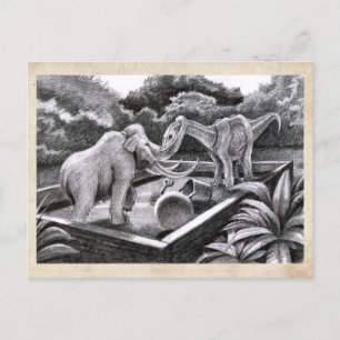 PygmyPets Friends - vykort