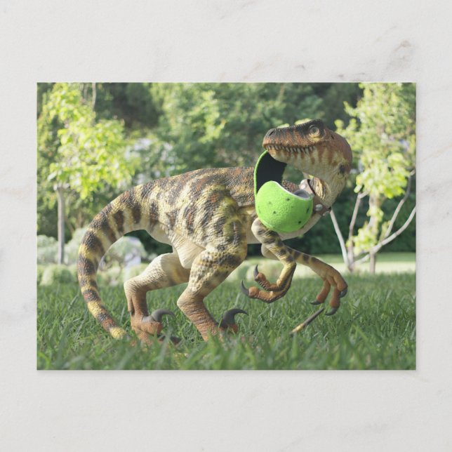PygmyPets Raptor 3D - vykort (Framsida)