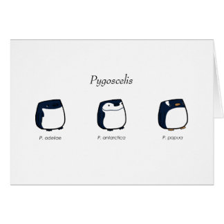 Pygosceliskort OBS Kort