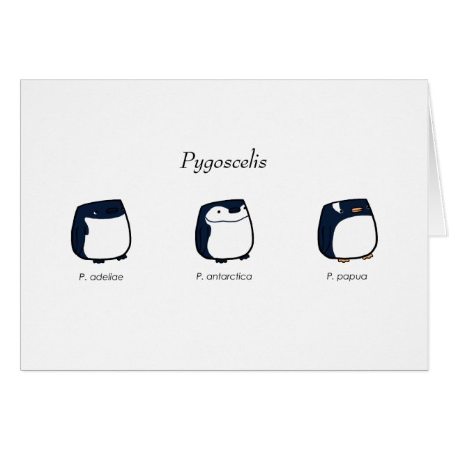 Pygosceliskort OBS Kort (Framsidan Horizontal)