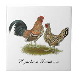 Pyncheon Bantams Kakelplatta