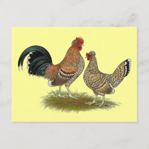 Pyncheon Bantams Vykort
