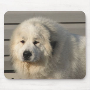 Pyr driver musmatta