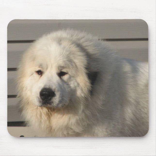 Pyr driver musmatta (Framsidan)