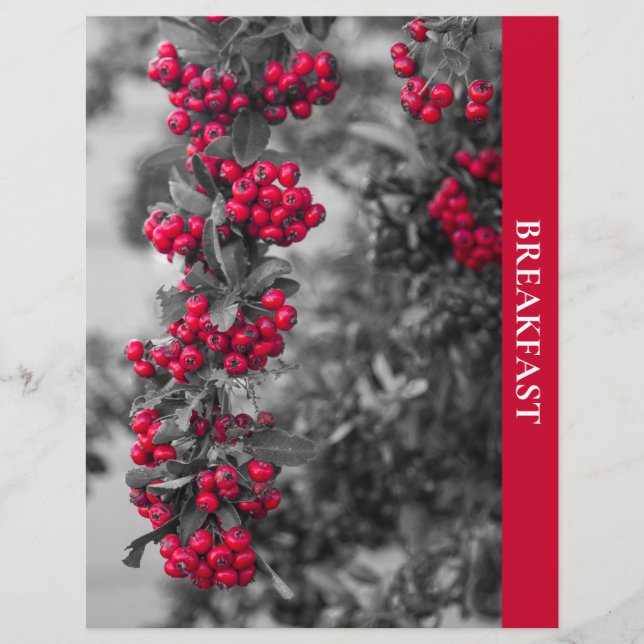 Pyracantha-bär Frukost Recept Avdelare (Framsida)