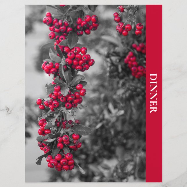 Pyracantha Bär Middagsrecept Avdelare (Framsida)