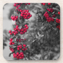 Pyracantha Bär Röda och Grå Botanisk Ölkopp