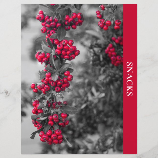 Pyracantha Bär Snacks Recept Divider (Framsida)