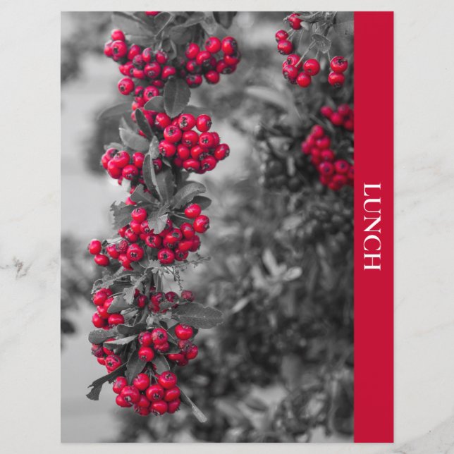 Pyracantha-bärs lunchrecept dividerare (Framsida)