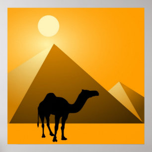 Pyramid & kamel poster